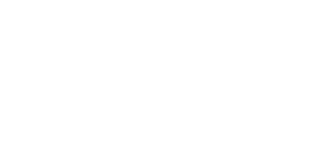 nuernberg-bad-logo-w